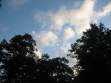 img0239.jpg