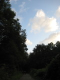 img0240.jpg