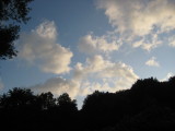 img0241.jpg