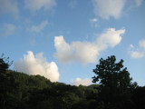 img0242.jpg