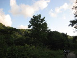 img0243.jpg