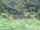 img0244.jpg