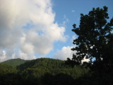 img0247.jpg