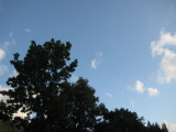 img0248.jpg