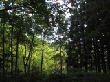 img0249.jpg