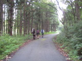 img0250.jpg