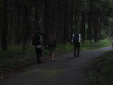 img0251.jpg