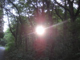 img0252.jpg