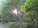 img0253.jpg