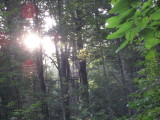 img0254.jpg