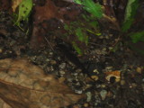 img0255.jpg