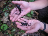 img0256.jpg