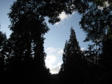 img0257.jpg