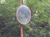 img0261.jpg