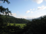 img0262.jpg