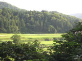 img0263.jpg
