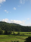 img0264.jpg