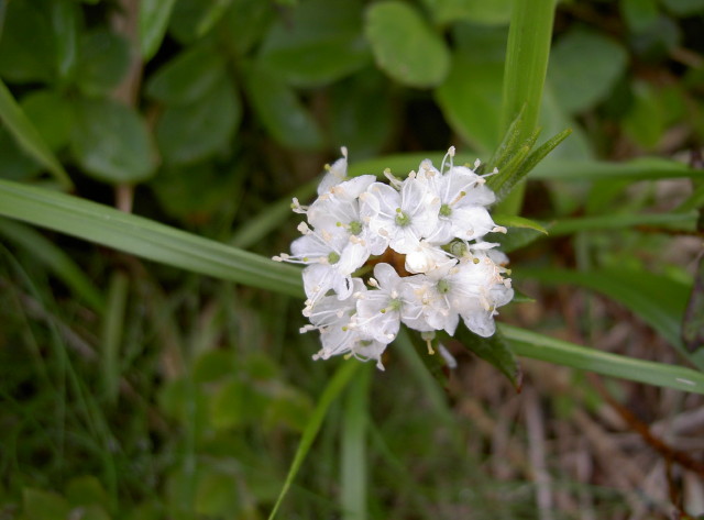 img0008.jpg