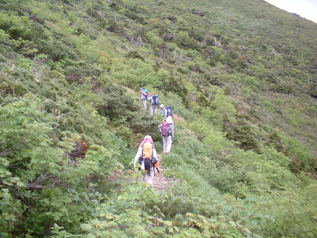 img0003.jpg