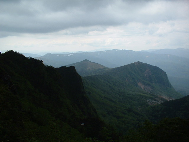 img0010.jpg