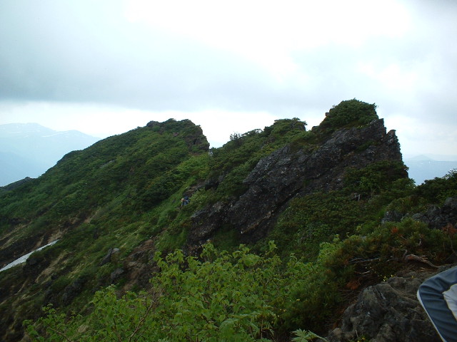 img0015.jpg