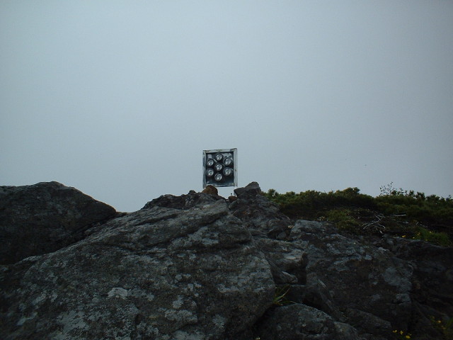 img0016.jpg