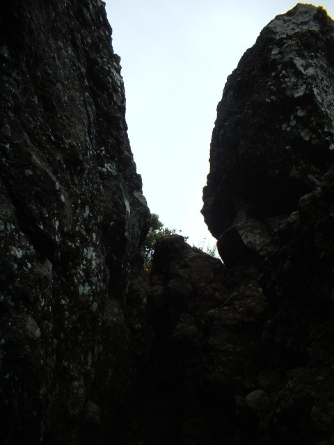 img0019.jpg