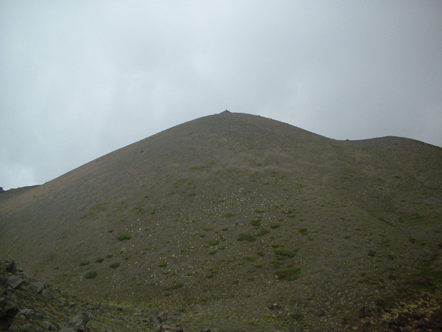 img0047.jpg