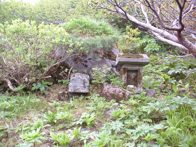 img0060.jpg