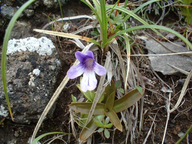 img0075.jpg