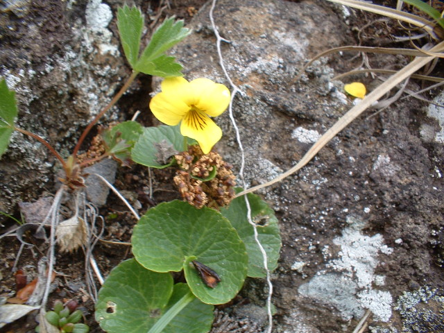 img0076.jpg