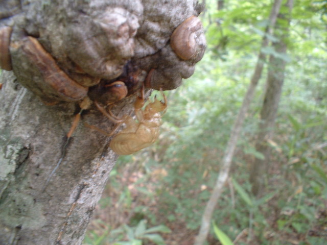 img0089.jpg