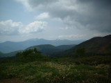 img0000.jpg