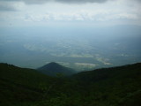 img0002.jpg