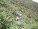 img0003.jpg