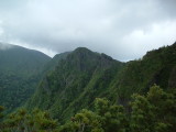 img0005.jpg