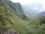 img0009.jpg