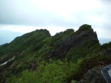 img0015.jpg