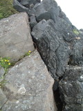 img0031.jpg