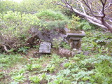 img0060.jpg
