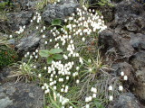 img0074.jpg