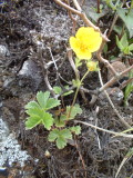 img0077.jpg