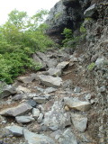 img0078.jpg