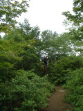 img0083.jpg