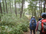 img0087.jpg