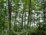 img0088.jpg