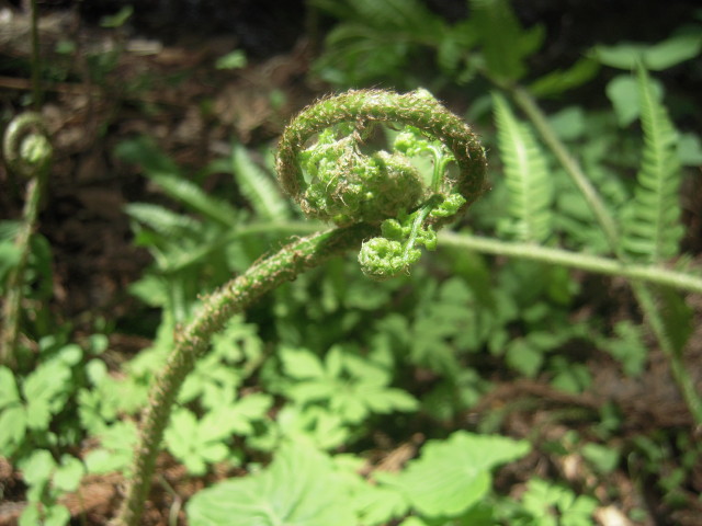 img0059.jpg