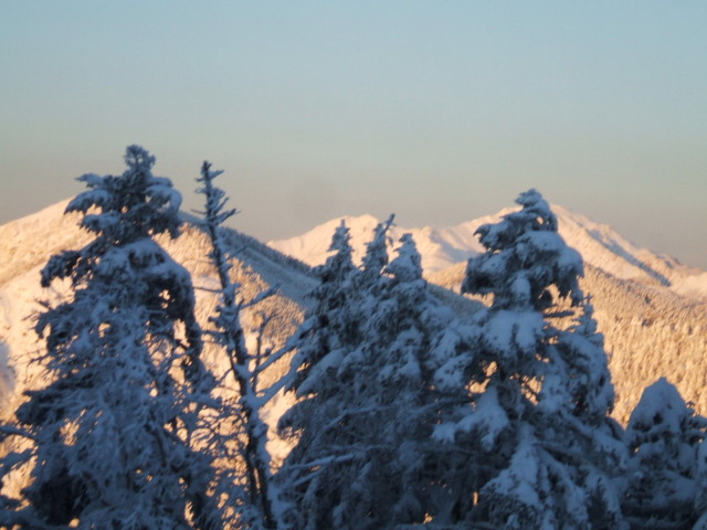 img0014.jpg