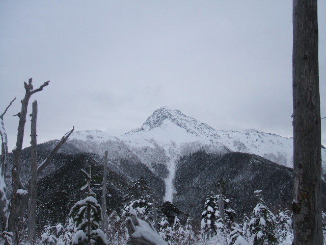 img0059.jpg