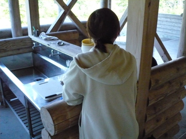 img0009.jpg
